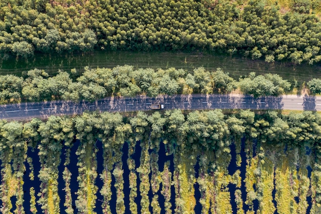 Luftaufnahme der Straße zwischen Wald und Bäumen. Sumpf in der Nähe