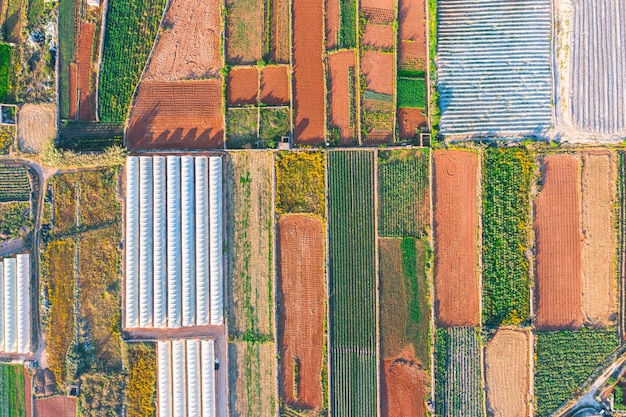 Luftaufnahme der verschiedenen Felder von Pflanzen und Gewächshäusern. Konzept des agroindustriellen Komplexes.