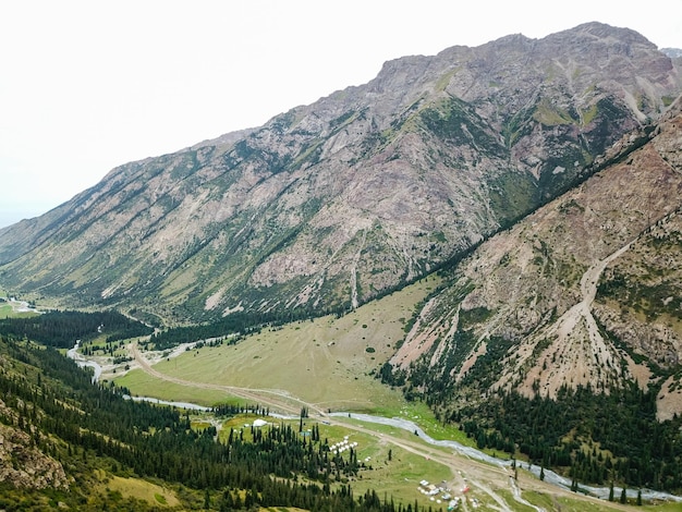 Luftaufnahme der von Tannen umgebenen Berge