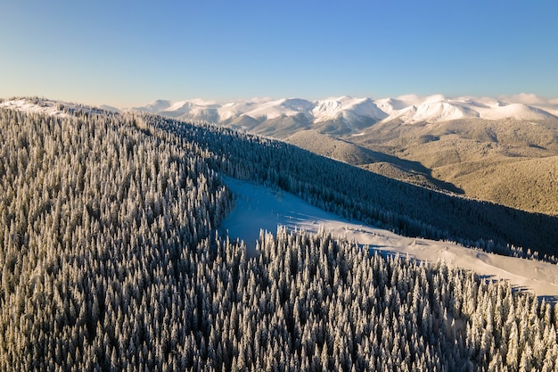 Luftaufnahme der Winterlandschaft mit Berghügeln, die nach starkem Schneefall an einem kalten, hellen Tag mit immergrünem Kiefernwald bedeckt sind.