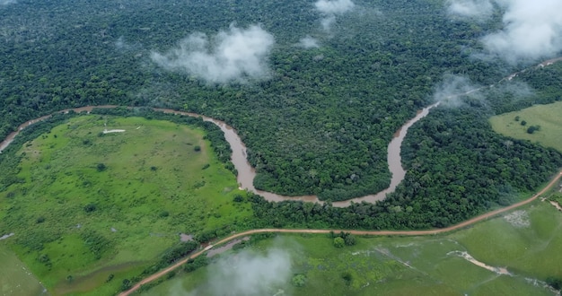 Luftaufnahme des Amazonas-Regenwaldes in Brasilien, Südamerika. Grüner Wald. Vogelperspektive.