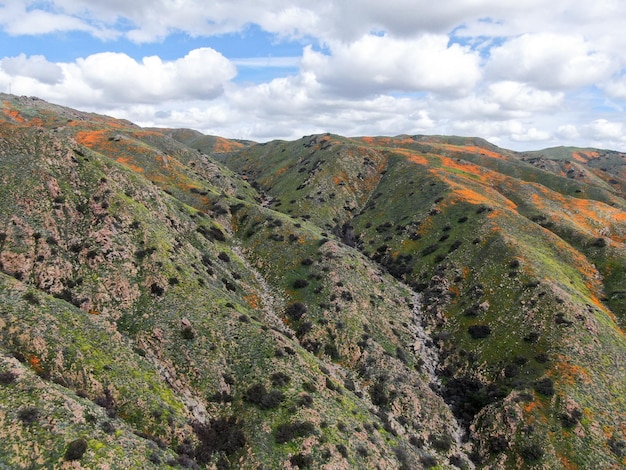 Luftaufnahme des Berges mit California Golden Poppy und Goldfields, die im Walker Canyon blühen