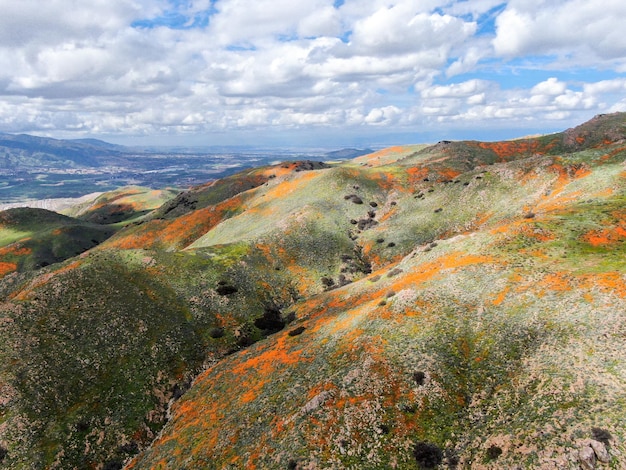 Luftaufnahme des Berges mit California Golden Poppy und Goldfields, die im Walker Canyon blühen