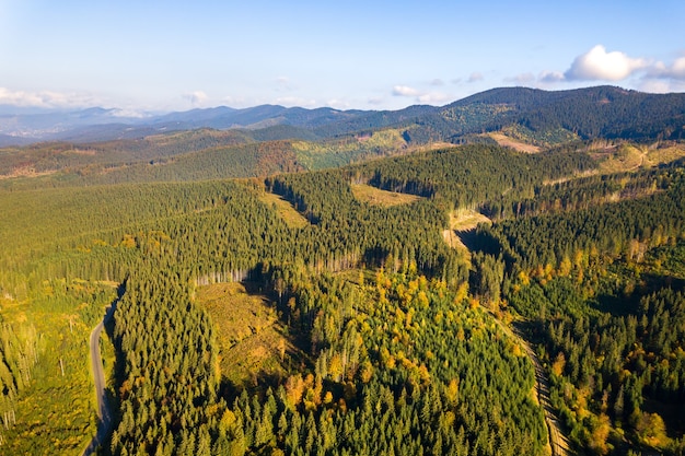 Luftaufnahme des Bergwaldes mit kahlen Abholzungsgebieten von abgeholzten Bäumen.