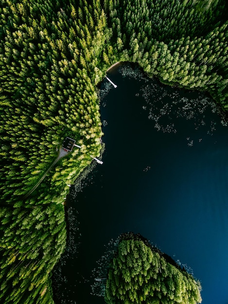 Luftaufnahme des Blockhauses im grünen Sommerwald am blauen See in Finnland