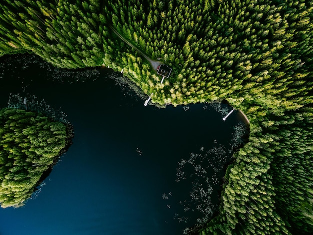 Luftaufnahme des Blockhauses im grünen Sommerwald am blauen See in Finnland