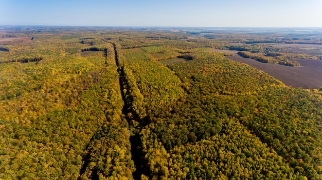 Luftaufnahme des bunten Herbstwaldes und des blauen Himmels