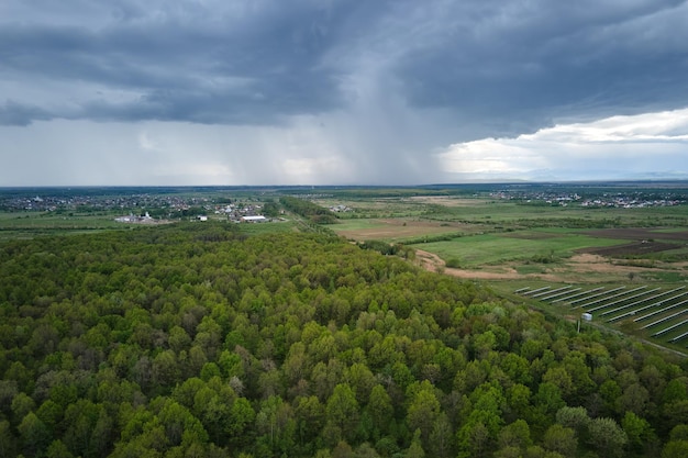 Luftaufnahme des dunkelgrünen, üppigen Waldes mit dichten Baumkronen im Sommer