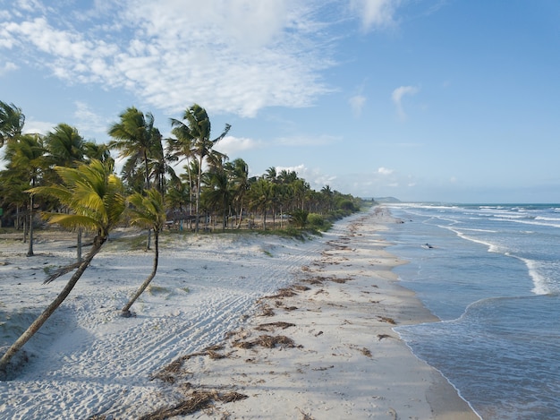 Luftaufnahme des einsamen Strandes mit Kokospalmen