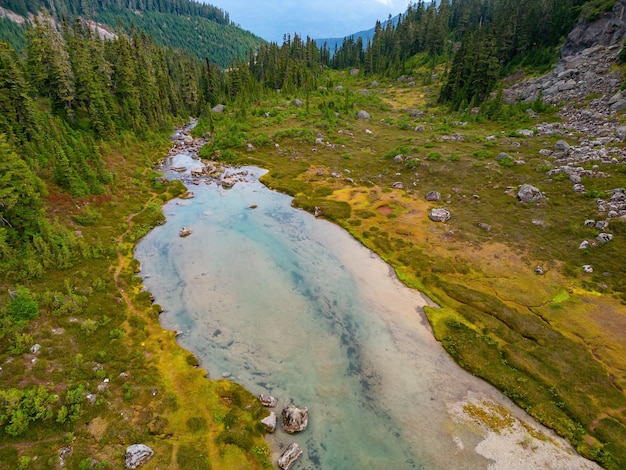 Luftaufnahme des Flusses in lebendigen grünen Wiesen in der kanadischen Berglandschaft British Columbia Kanada Naturhintergrund