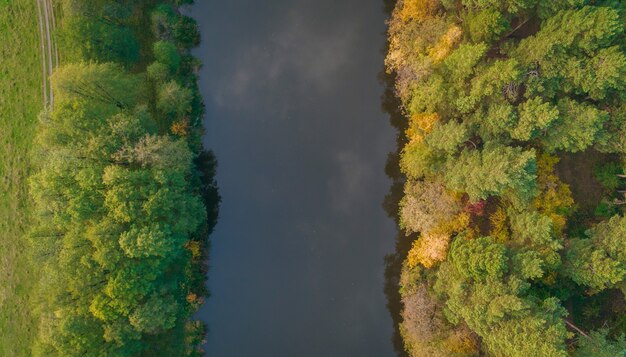 Luftaufnahme des Flusses und des Herbstwaldes