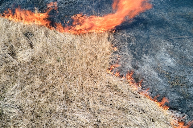 Luftaufnahme des Grünlandfeldes, das während der Trockenzeit mit rotem Feuer brennt. Konzept für Naturkatastrophen und Klimawandel