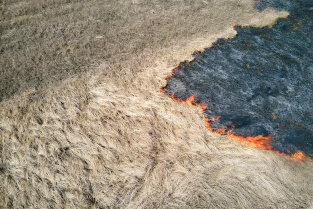 Luftaufnahme des Grünlandfeldes, das während der Trockenzeit mit rotem Feuer brennt Konzept für Naturkatastrophen und Klimawandel