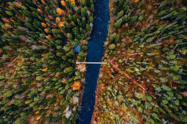 Luftaufnahme des Herbstwaldes und des blauen Flusses mit Brücke in Finnland Schöne Herbstlandschaft