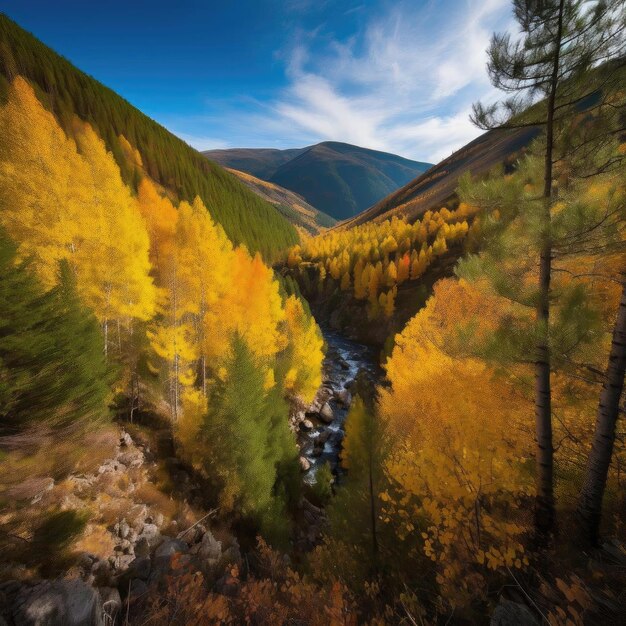 Luftaufnahme des Herbstwaldes und des bunten Bergflusswaldes im Herbst