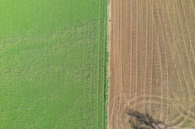 Luftaufnahme des Landwirtschaftsfeldes, zwei Farben, braun und grün