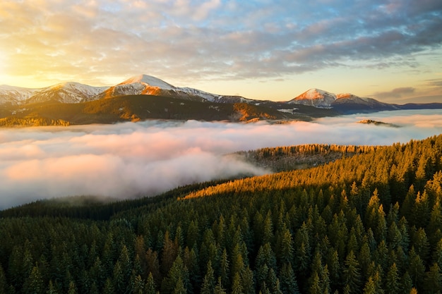 Luftaufnahme des lebendigen Sonnenaufgangs über Karpatenhügelhügeln bedeckt mit immergrünem Fichtenwald im Herbst.