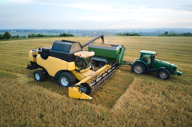 Luftaufnahme des Mähdreschers beim Entladen von Getreide im Frachtanhänger, der während der Erntesaison auf einem großen reifen Weizenfeld arbeitet. Konzept für Landwirtschaft und Transport von rohen landwirtschaftlichen Produkten