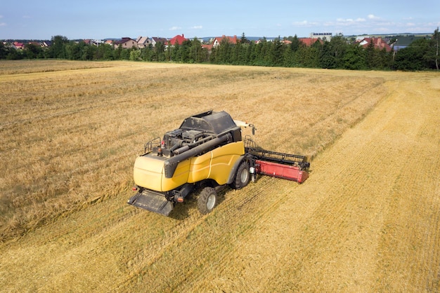 Luftaufnahme des Mähdreschers, der ein großes reifes Weizenfeld erntet. Landwirtschaft aus Drohnensicht.