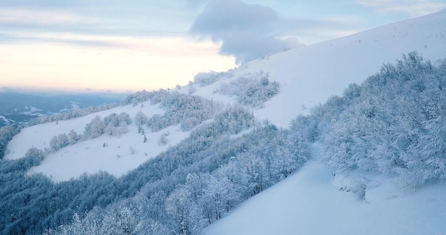 Luftaufnahme des majestätischen Sonnenaufgangs in den Bergen. Das Tal zwischen den Bergen ist mit Nebel bedeckt und wird von den warmen Strahlen der aufgehenden Sonne beleuchtet. Berge mit natürlichem Wald bedeckt