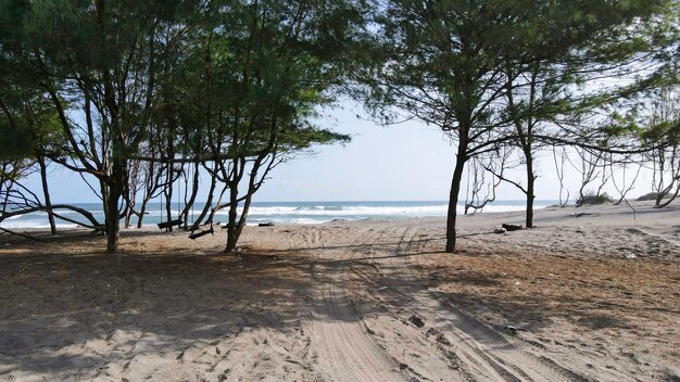 Luftaufnahme des Parangtritis-Strandes in Yogyakarta