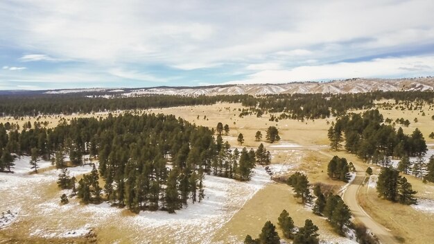 Luftaufnahme des Pikes National Forest im Winter.