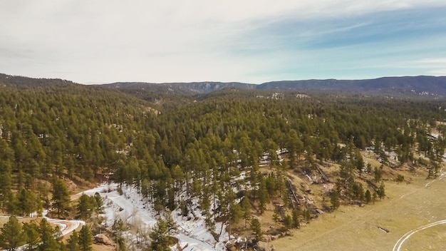 Luftaufnahme des Pikes National Forest im Winter.