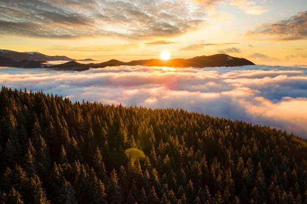 Luftaufnahme des pulsierenden Sonnenaufgangs über Berghügeln, die im Herbst mit immergrünem Fichtenwald bedeckt sind.