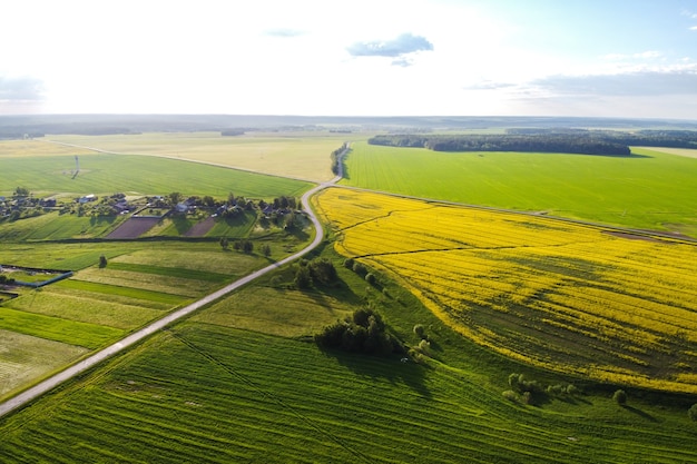 Luftaufnahme des Rapsfeldes mit gelben Blumen und Straße