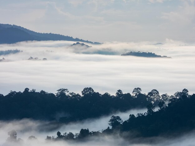 Foto luftaufnahme des regenwaldes danum valley in lahad datu sabah malaysia