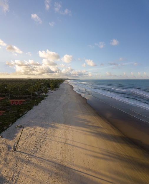 Luftaufnahme des Strandes mit Kokospalmen an der Küste von Ilheus Bahia Brasilien.