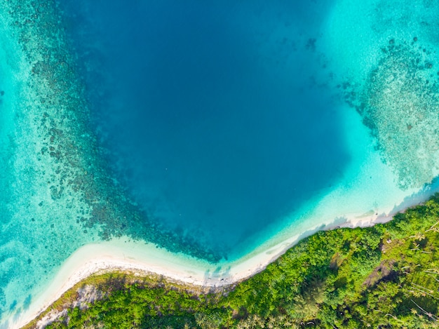 Luftaufnahme des unberührten Strandes des tropischen Paradieses. Regenwald und blaues Lagunenbuchtkorallenriff