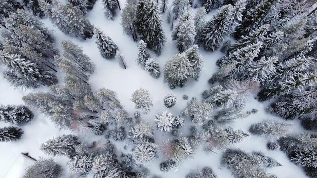 Luftaufnahme des verschneiten Umatilla National Forest in Tollgate, Oregon, USA