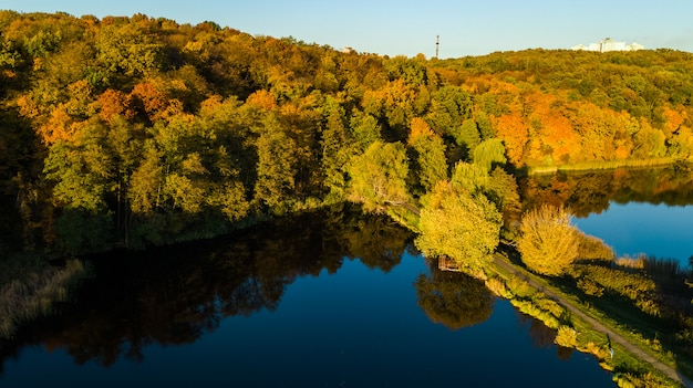 Luftaufnahme des Waldes mit gelben Bäumen und schöner Seelandschaft von oben, Kiew, Goloseevo Wald, Ukraine