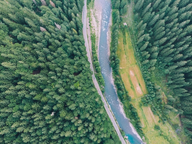 Luftaufnahme des Waldes mit Straßen- und Flussnaturlandschaft