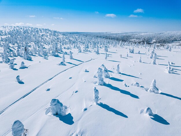 Luftaufnahme des weißen Winterwaldes mit schneebedeckten Bäumen und Landstraße in Finnland Lappland