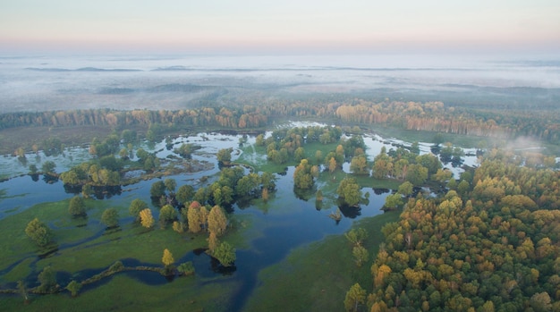 Luftaufnahme des wunderschönen Karula-Nationalparks voller Seen in Estland an einem nebligen Morgen