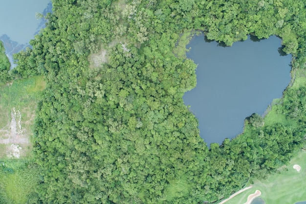 Luftaufnahme Drohnenkamera Draufsicht Regenwaldbäume Ökologie mit gesundem Umweltkonzept und Sommerhintergrund