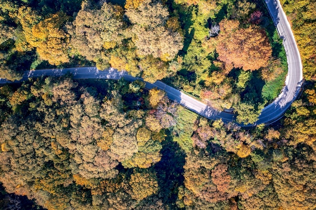 Luftaufnahme einer Drohne über der Straße zwischen Herbstbäumen im Wald