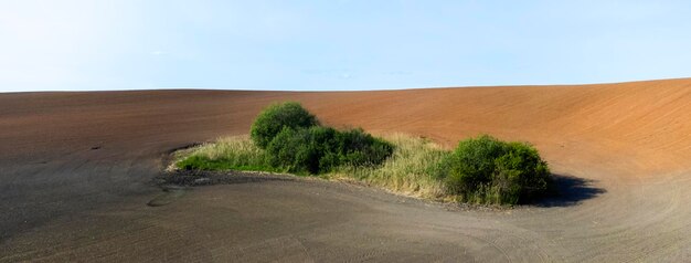 Luftaufnahme einer grünen Oase inmitten einer Lehmberg-Marslandschaft