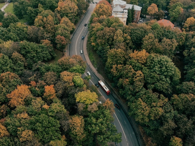 Luftaufnahme einer kurvenreichen Straße durch dichte Wälder