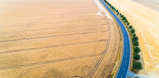 Luftaufnahme einer Landstraße zwischen landwirtschaftlichen Feldern in Europa Deutschland Schöne Landschaft von oben mit einer Drohne aufgenommen