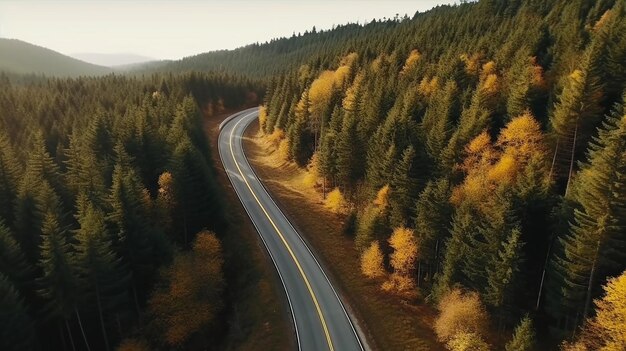 Luftaufnahme einer leeren, sich schlängelnden Straße zwischen Wäldern. Generative KI