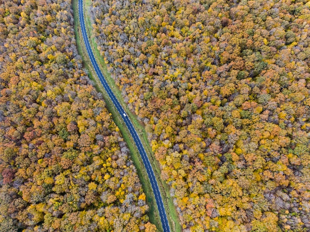 Luftaufnahme einer Straße, die einen gelben und goldenen Laubbaumwald überquert Herbst, weißes Auto