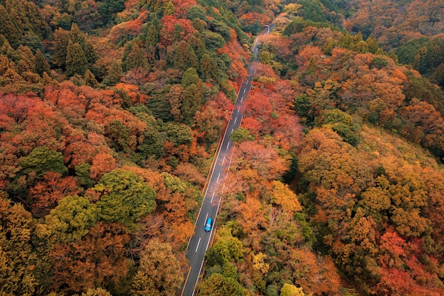 Luftaufnahme einer Straße inmitten von Bäumen im Wald im Herbst