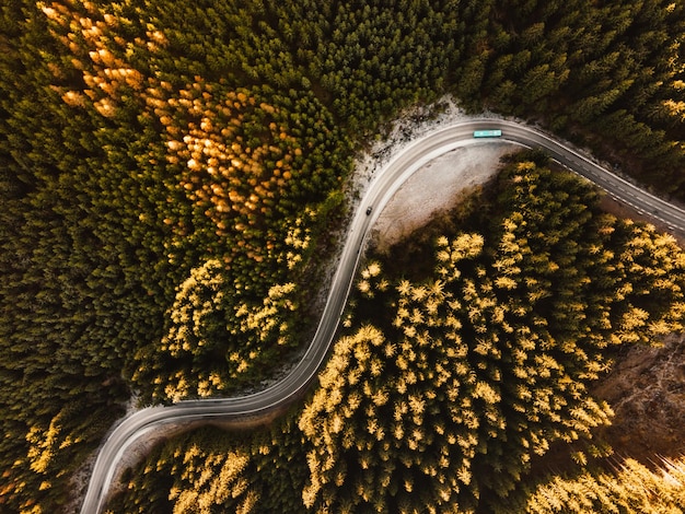 Luftaufnahme einer Straße mitten im Wald