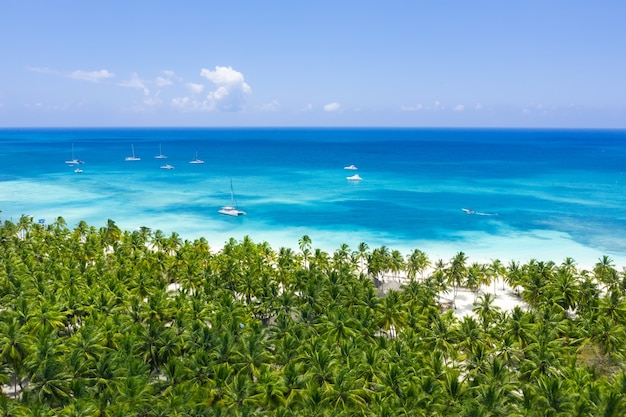 Luftaufnahme einer tropischen Insel mit Palmen