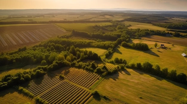 Luftaufnahme eines Bauernhoffeldes mit Bäumen und einem Sonnenuntergang