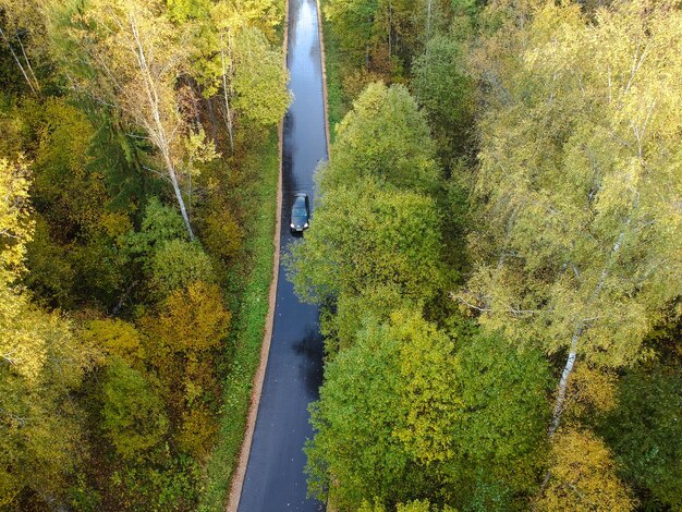 Luftaufnahme eines dichten Waldes im Herbst mit glitzernder Straße nach dem Regen