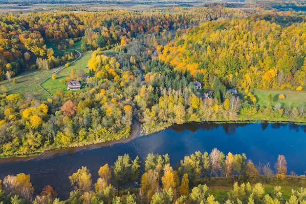 Luftaufnahme eines Flusses im Wald im Herbst
